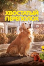 Хвостатый переполох смотреть онлайн